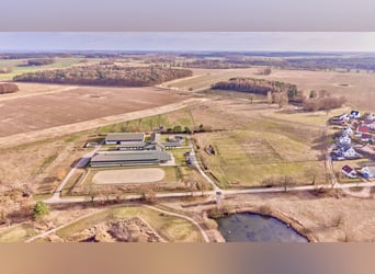 Écurie dans la Mecklembourg-Poméranie-Occidentale – située directement sur le lac de la Mecklembourg