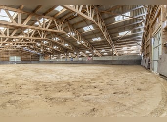Ecurie d'élevage et de commerce de chevaux