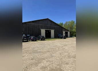 Ecurie d'élevage et de commerce de chevaux