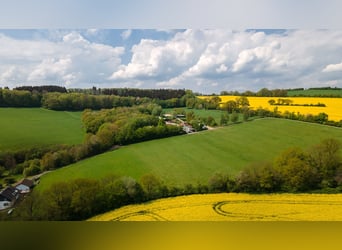 Écurie en situation isolée à vendre près de St. Wendel – près de 15 hectares de terrain en propriété