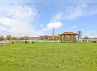 Écurie équestre dans la Hesse, dans le district de Main-Kinzig – propriété isolée avec manège, maiso