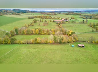 Écurie équestre dans la Hesse, dans le district de Main-Kinzig – propriété isolée avec manège, maiso
