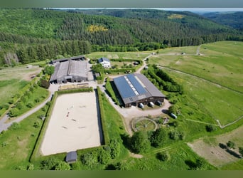 Écurie équestre spacieuse et de rêve, située en panorama entre Trèves et le Luxembourg