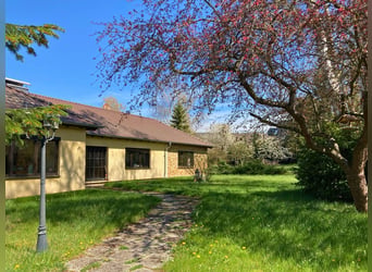 Écurie exclusive avec manège couvert et options d'habitat variées en Hesse
