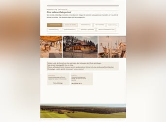Écurie, pension pour chevaux, stabulation thérapeutique, élevage