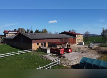Élevage équestre exclusif avec centre équestre et maison multifamiliale – un parfait mélange de rent
