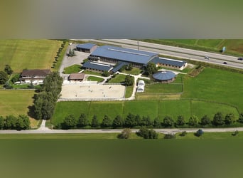 Est de la Suisse orientale - Domaine équestre exclusif avec villa méditerranéenne et vaste propriété