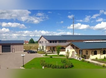 Est de la Suisse orientale - Domaine équestre exclusif avec villa méditerranéenne et vaste propriété