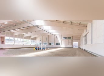 Est de la Suisse orientale - Domaine équestre exclusif avec villa méditerranéenne et vaste propriété