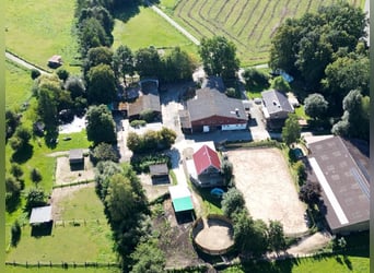 Établissement de ranch et centre équestre – environ 8 hectares de terrain clôturé – polyvalent et ad