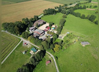 Établissement de ranch et centre équestre – environ 8 hectares de terrain clôturé – polyvalent et ad