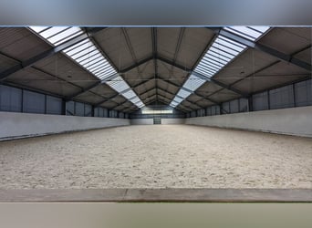 Établissement équestre professionnel dans un cadre champêtre idyllique en Rhénanie-du-Nord-Westphali