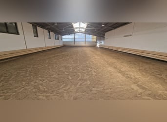 Établissement équestre professionnel pour le sport de haut niveau dans la région métropolitaine de R