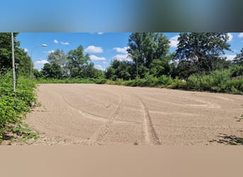 Établissement équestre professionnel pour le sport de haut niveau dans la région métropolitaine de R