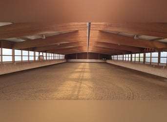 Établissement équestre professionnel pour le sport de haut niveau dans la région métropolitaine de R