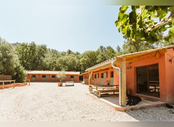 Excellence équestre et art de vivre provençal