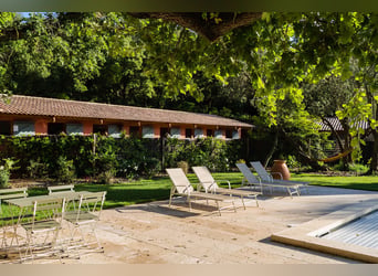 Excellence équestre et art de vivre provençal
