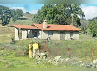 Excellente ferme de chasse et d’élevage de bétail.