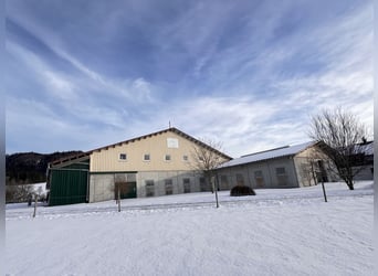 Exclusif centre équestre avec potentiel résidentiel et de rendement en Allgäu
