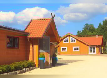 Exklusiver Pferdehof - TOP Ausstattung inkl. Photovoltaikanlage (bisher REHA Zentrum) Niedersachsen