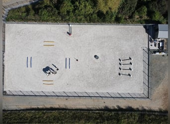 Exklusives Anwesen mit Wohnhaus, Reitanlage, Werkstatt und Photovoltaik – Sofort bezugsfertig 