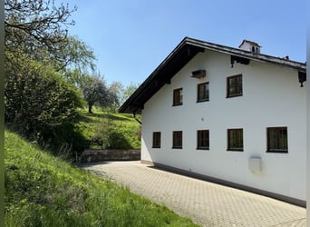 Ferme avec élevage de chevaux, 2,5 hectares de terrain, à proximité de Munich
