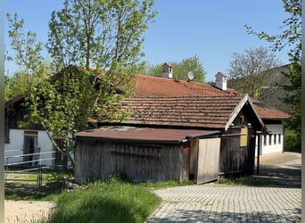Ferme avec élevage de chevaux, 2,5 hectares de terrain, à proximité de Munich