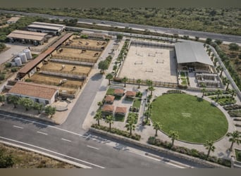 Ferme équestre à La Marina, Alicante, à proximité de la mer