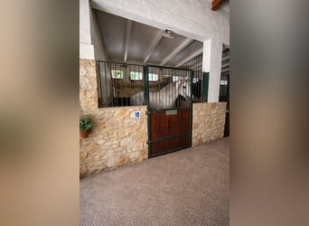 Ferme équestre à La Marina, Alicante, à proximité de la mer