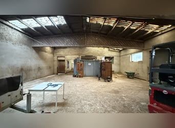 Ferme équestre avec manège, installations pour l’élevage et vastes terrains en location à Linnich