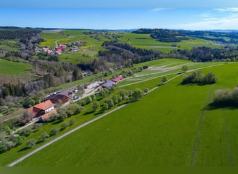 Ferme équestre de 47 hectares dans le sud de la Forêt-Noire – idéal pour une propriété équestre