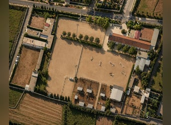 Ferme équestre située près de la mer