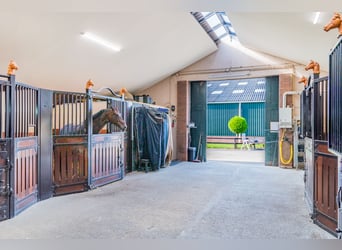 Ferme résidentielle avec installation équestre comprenant une carrière intérieure, une carrière exté