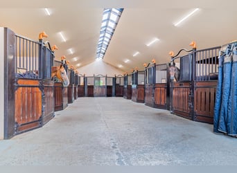 Ferme résidentielle avec installation équestre comprenant une carrière intérieure, une carrière exté