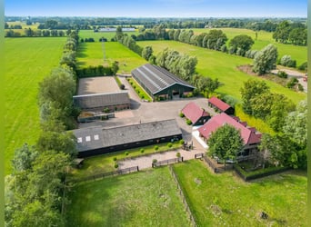 Ferme résidentielle avec installation équestre comprenant une carrière intérieure, une carrière exté