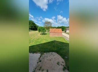 gepflegter Resthof zwischen Hamburg und Lübeck