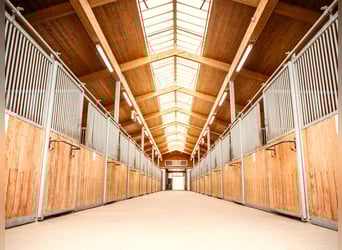 Grande installation équestre XXL pour le sport de haut niveau en Franconie V14177 – sans commission