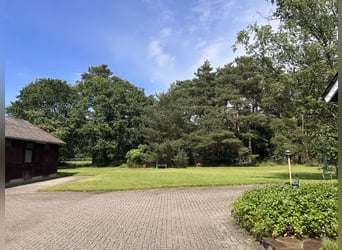 Grande maison de campagne avec élevage de chevaux, manège et un magnifique parc-jardin en situation 