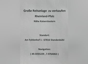 Große Reitanlage zu verkaufen - Rheinland-Pfalz - Nähe Kaiserslautern 