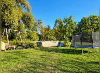 Hébergement équestre sur environ 1,7 hectare de terrain privé à proximité de Munich