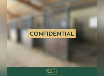 High-End Multi-Revenue Equestrian Estate – South of France
