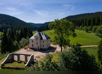 Historisches Villenanwesen im Erzgebirge – Absolute Alleinlage in traumhafter Natur!