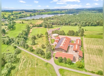 Hochwertige Reitanlage in Nieder-Moos mit optimalen Trainingsbedingungen in See-Nähe!