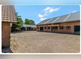 Idyllische paardenboerderij Kootwijkerbroek Veluwe te koop