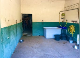 Installations équestres dans la célèbre région du domaine de Matarranya