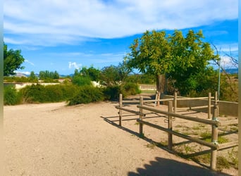 Installations équestres dans la célèbre région du domaine de Matarranya