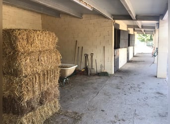 Installations équestres dans la célèbre région du domaine de Matarranya