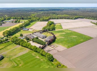 Kapelstraat 12 - 14 Leende Beautiful, complete equestrian accommodation 