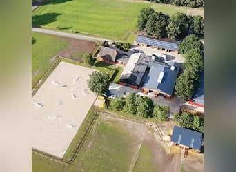 Kompletter Stalltrakt 8 Pferdeboxen zu verpachten 