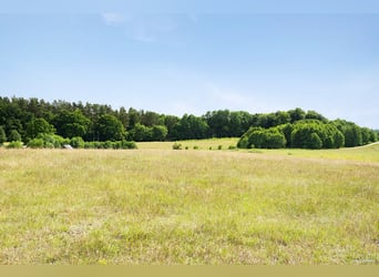 "Live the dream at the gateway to Österlen – equestrian estate, deer enclosure, river..
